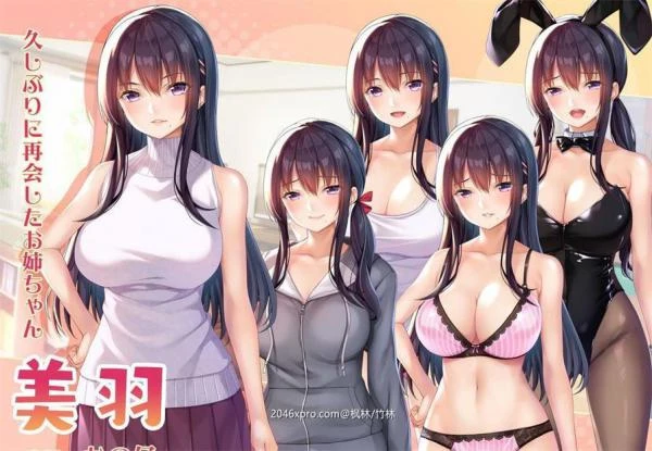 请停手吧姐姐大人！汉化版+全CG包封面图