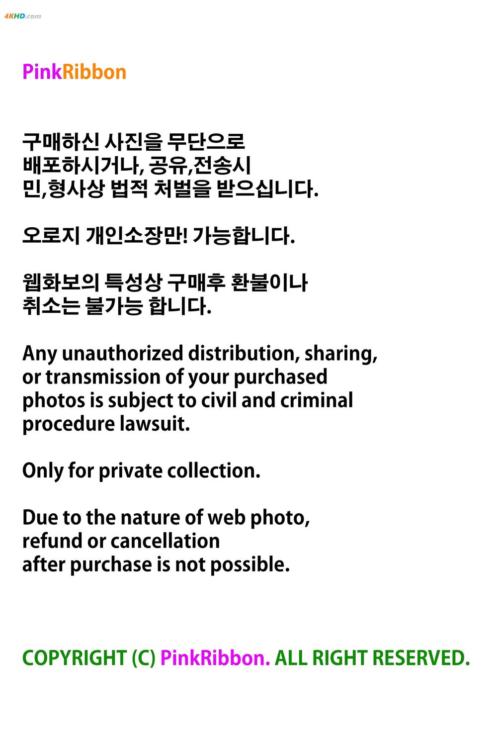 《PINK RIBBON – BERRY PRADISE (빛베리님) – Lightberry Vol.1 -[1104MB-99photos]》图集预览