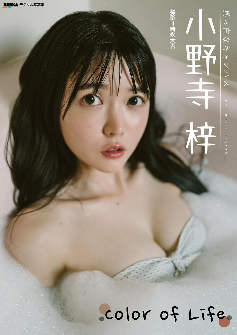 《Azusa Onodera 小野寺梓 – Color of Life[26MB-43photos]》图集预览
