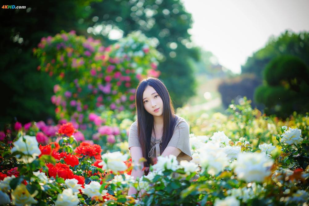 《[Others] Bambi – Lacerta Photography[82MB-101photos]》图集预览