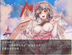 修女与光无法触及的森林 官方中文步兵版+全回想