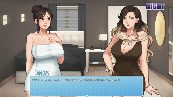 家务0.20.1海阁汉化【PC 安卓/2.84G】封面图