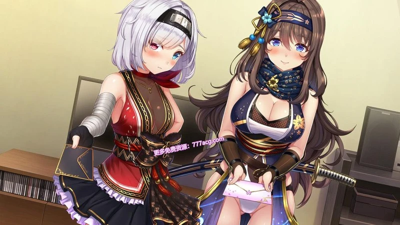 女忍者同居生活2：NinNinDays2 官方中文版+全存档_截图