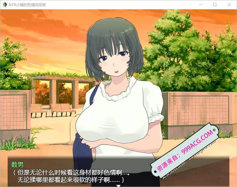 NTR小镇的涩情回览板~开门即H！汉化版_截图