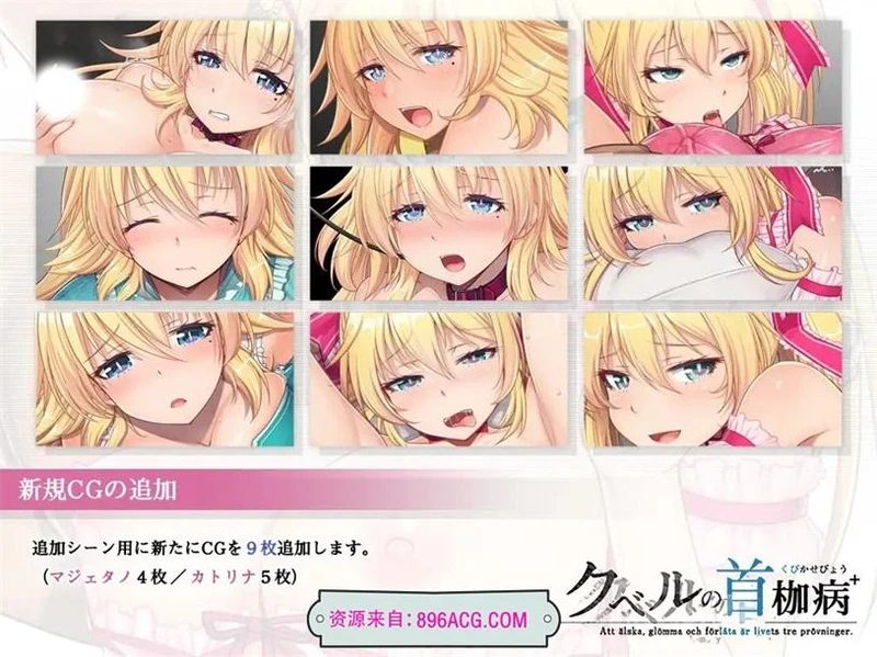 库贝尔的枷锁 Ver2.03DLC+V5 官中步兵版+存档_截图