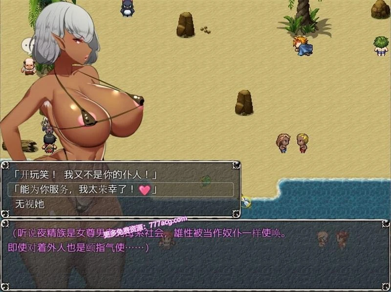 女祭司 HD重置版 Ver0.51精翻汉化版_截图