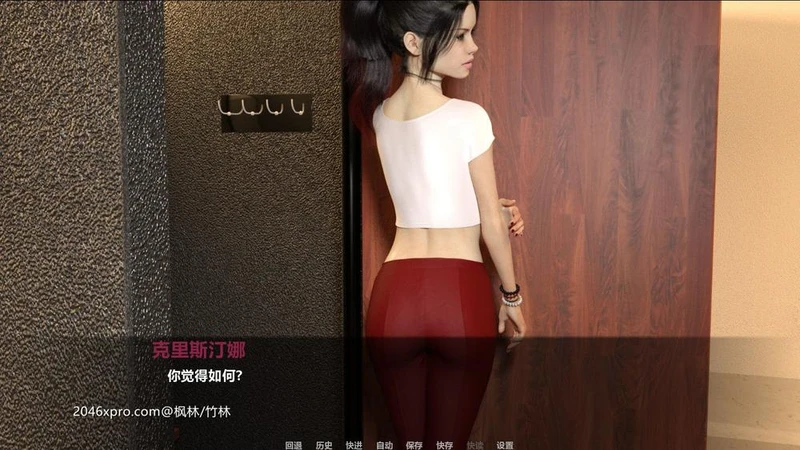 中年危机 Ver2.1B 精翻汉化版+全CG_截图